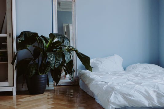 How To Stop Your Floor Bed From Sliding