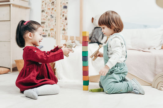 What is Considered a Montessori Toy